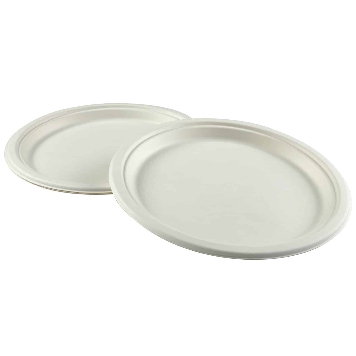 10 fiber compostable plate 500 cs