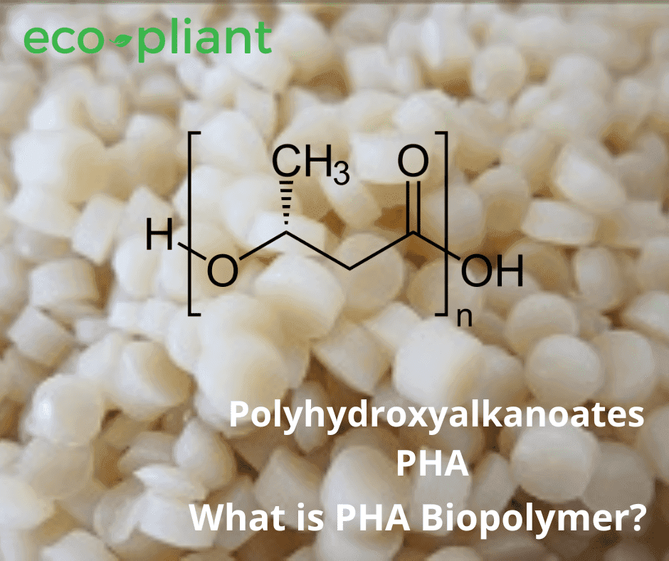 PHA (Polyhydroxyalkanoates): A Detailed Material Overview