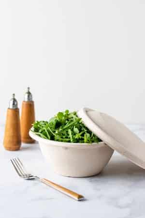 compostable fiber bowl and lid