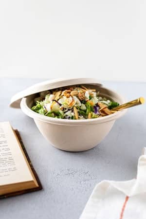 compostable fiber bowl and lid