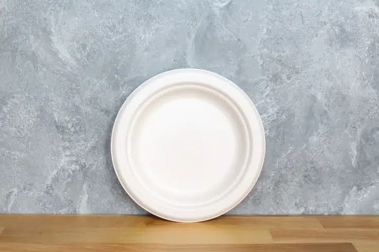 6" Round Fiber Plate (1000/case)