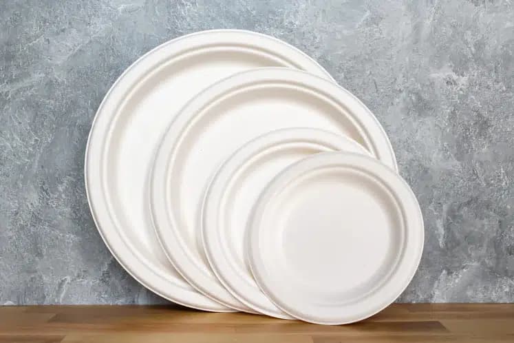 6" Round Fiber Plate (1000/case)