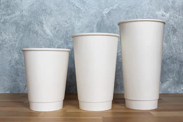 20 oz PE Lined Double Wall Paper Hot Cup, White