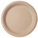 10.5 inch Plates