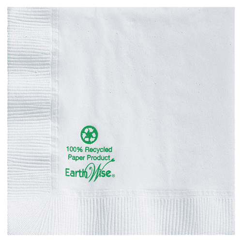 Hoffmaster 5 " Earth Wise  2-Ply White Beverage Napkins