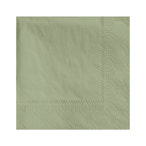 Hoffmaster 4.75 " Regal Embossed 2-Ply Soft Sage Beverage Napkins