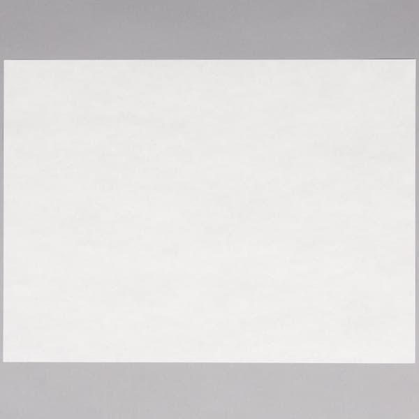 Gordon Paper 9" x 12" 40# White Steak Paper Sheets - 1000/Box