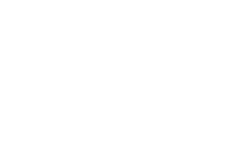 Livi logo