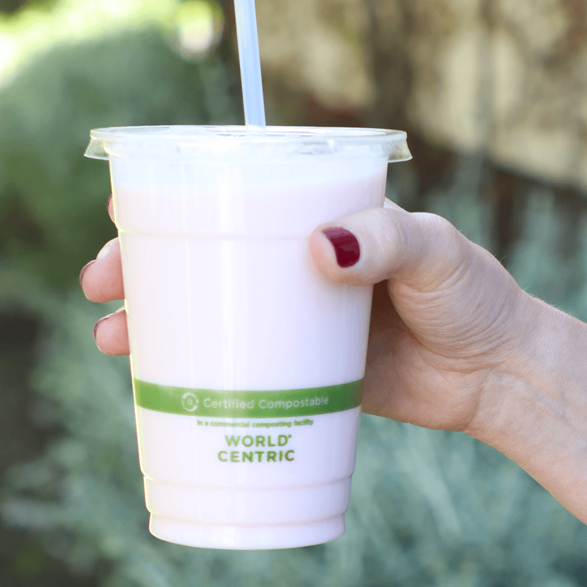 16 oz Clear Cold Cup