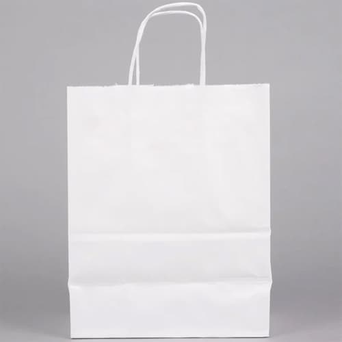 White Trim Paper Shopping Bag with Handles 8" x 4.75" x 10.25" - Image 1