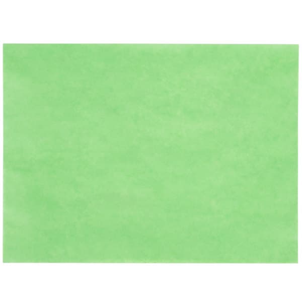 Gordon Paper 9" x 12" 40# Green Steak Paper Sheets - 1000/Box - Image 1
