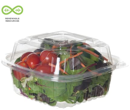 6" x 6" x 3" Clear Compostable Clamshell - Image 1