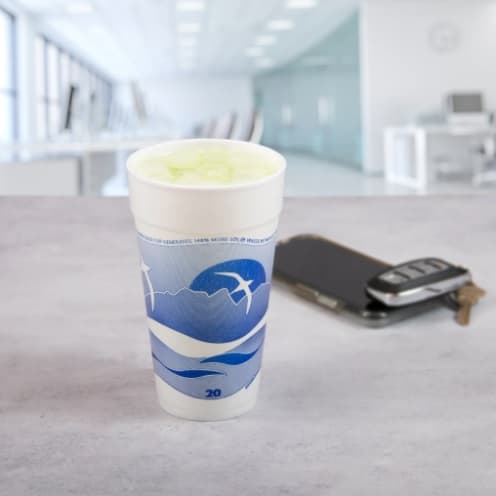 Dart 20J16H 20 oz. Horizon Foam Cup - Image 1
