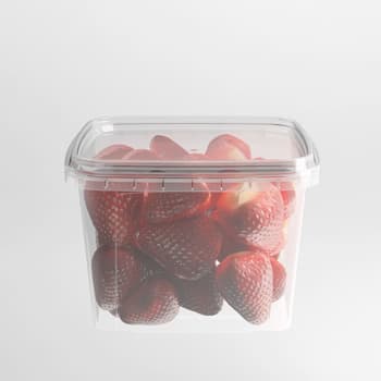 Elfe Plastik 16 oz Square Tamper Evident Container, Clear - Image 1