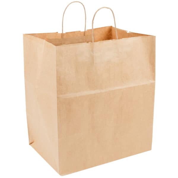 paper rope bag with handles 14X10X16