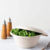 compostable fiber bowl and lid