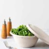 compostable fiber bowl and lid