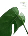 Download Product Brochure (PDF)