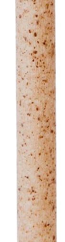 5.9" Cocktail Natural Agave Straw, Unwrapped <br>(2000 straws / case)